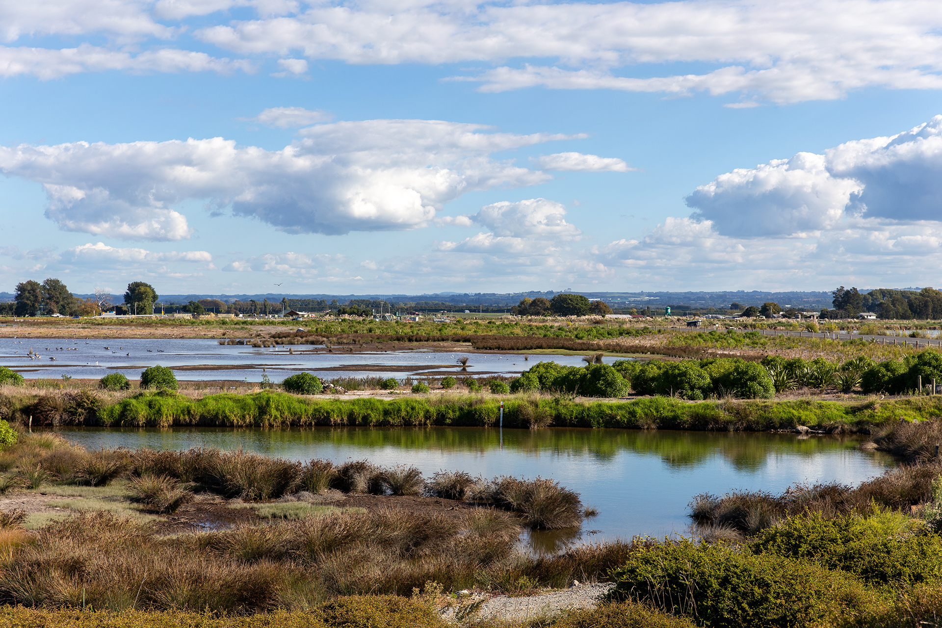 Estuary at Maketu Spit