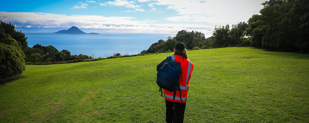 View of a coastal park and Motuhora Island