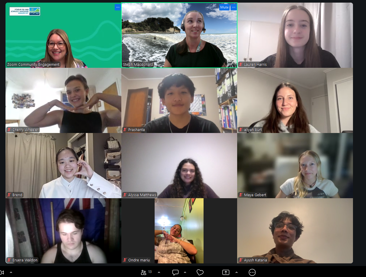 Screenshot of youth panel members on an online zoom meeting, shows their faces in a grid pattern